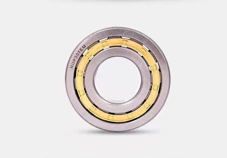 Lubricación con aceite y grasa RN306 RN306M Rodillos de rodamientos de bolas de 30x62x19 mm para el rendimiento