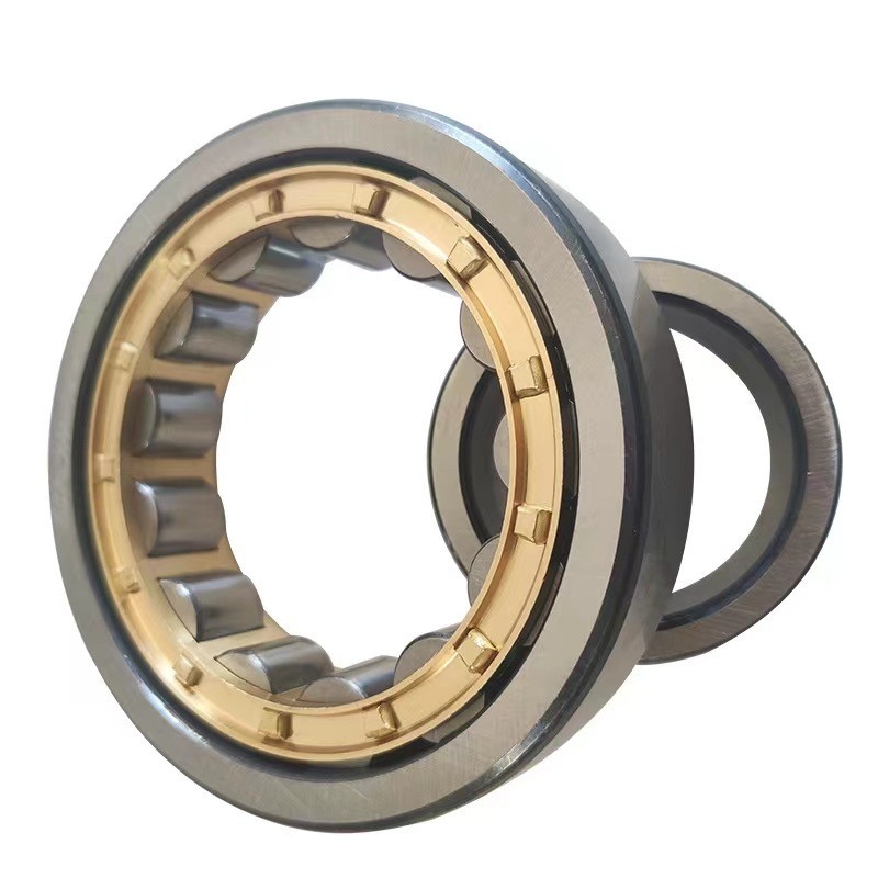 SL04 5030 PP Rodamiento de rodillos cilíndricos de doble fila para laminadoras de 1 kg Tipo de sellos OEM